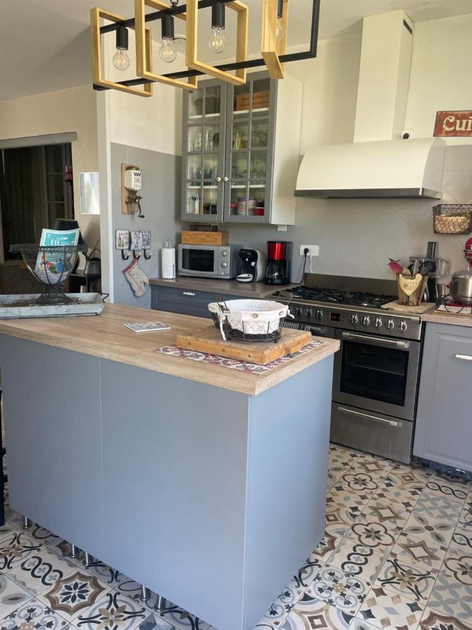 Appartement Avec Jardin En Ville LʼIsle-sur-la-Sorgue Zewnętrze zdjęcie